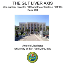 6. Hepatolgie Symposium 2018:  FXR/FGF19 gut liver axis – new therapeutic strategies