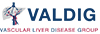 Logo Valdig