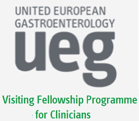 UEG Visiting Fellowship Program 2019